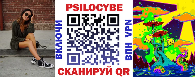 Галлюциногенные грибы Psilocybe  Канаш 